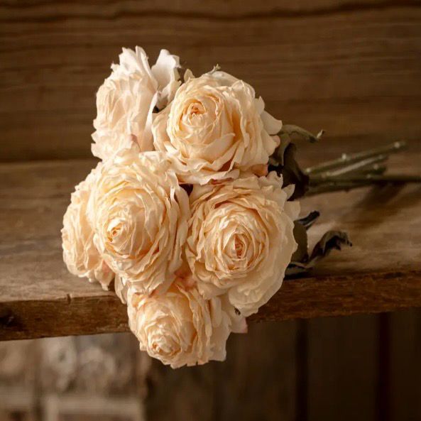 PVH Cream French Rose Bouquet