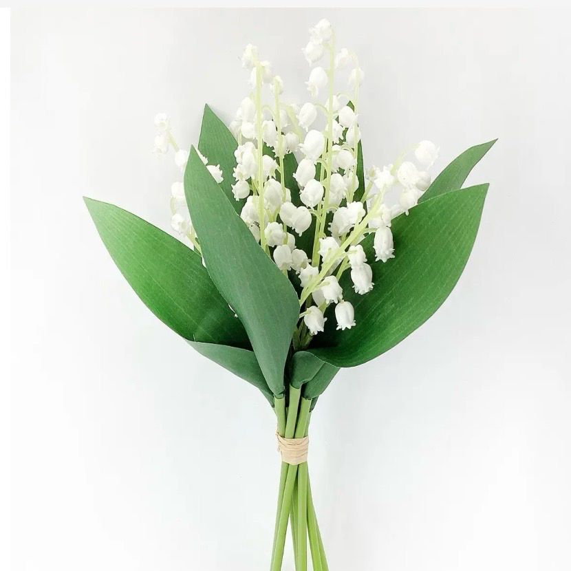 PVH 11" Lily Of The Valley Bundle
