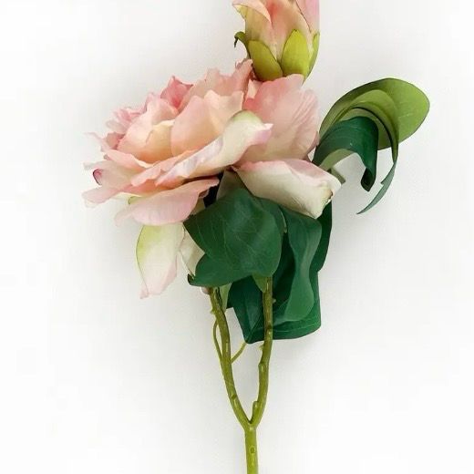 PVH 17" Blush French Peony