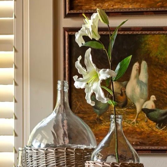 PVH 34" Asiatic Lily White