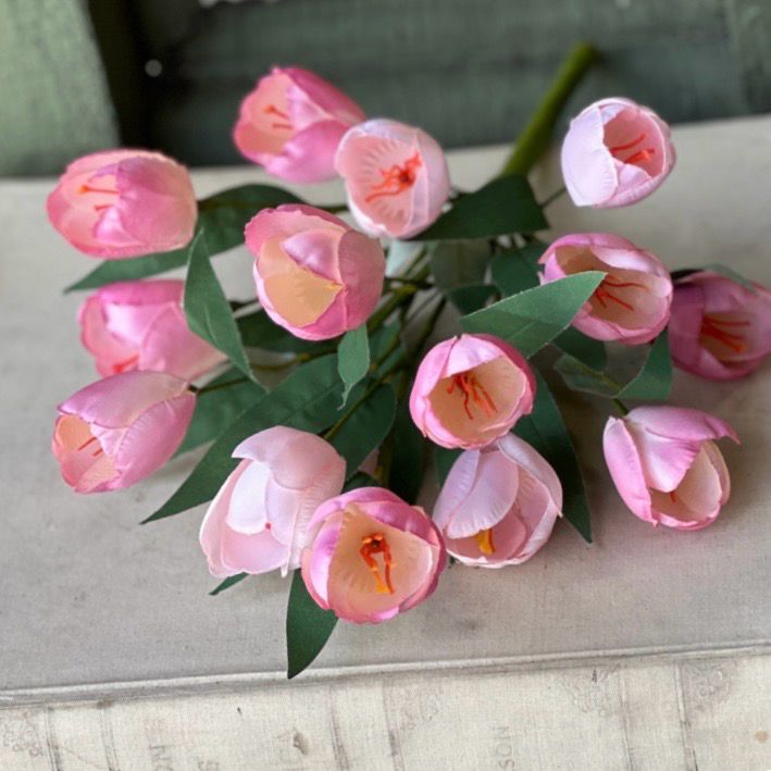 Lan 16" Releve' Tulip Bush