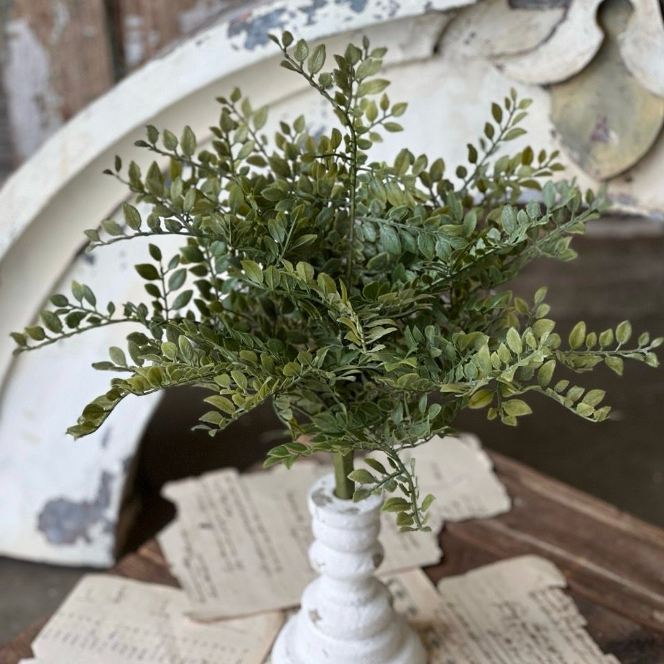 Lan 16" Parterre Leaves Bush