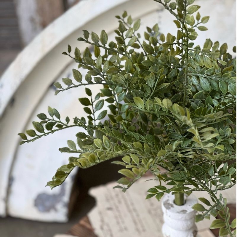 Lan 16" Parterre Leaves Bush