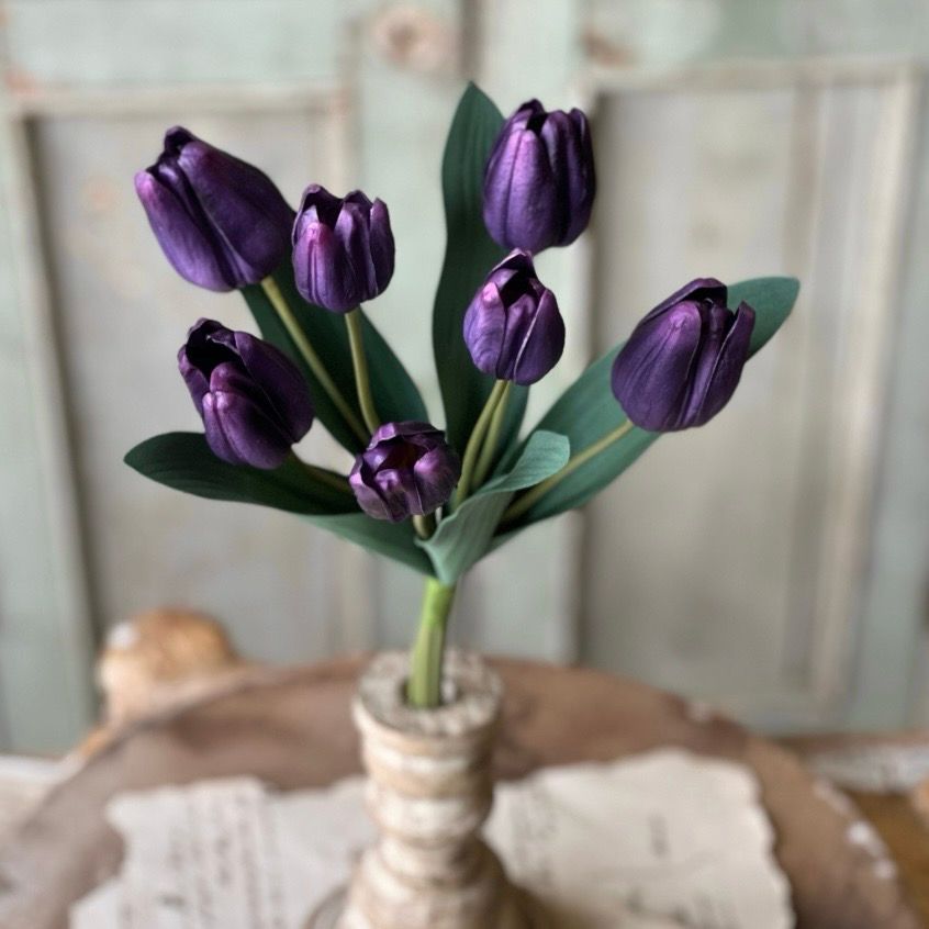 Lan 14.5" Queen Triumph Tulip Bundle