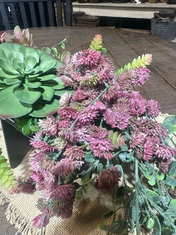 Reg 10" Sedum Vine Hanging Pick Burgundy