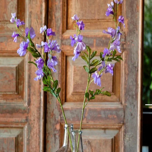 PVH Amethyst Sweet Pea