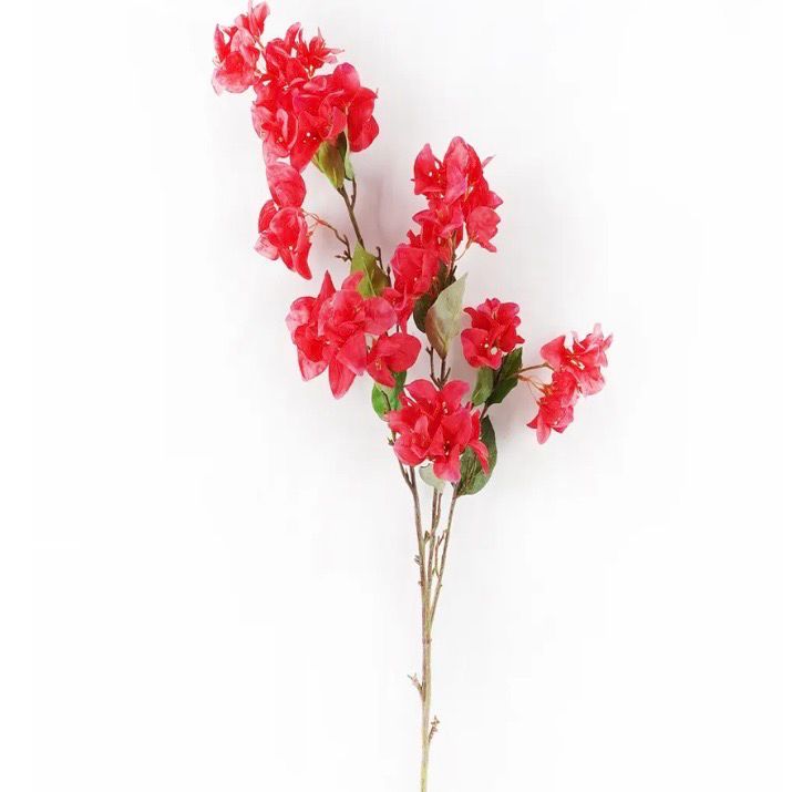 PVH Purple Bougainvillea Bridal