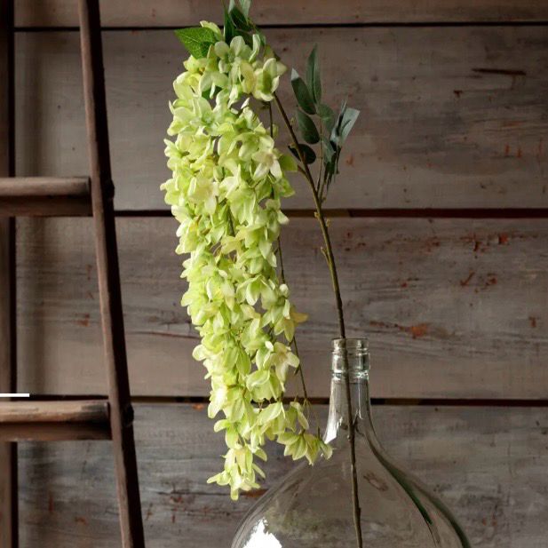 PVH Green Rain Flower