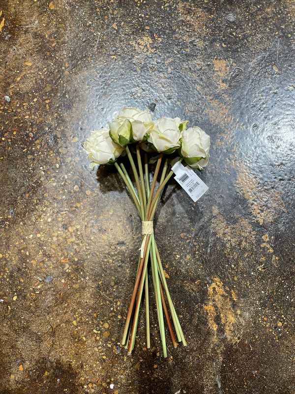 PVH Dried White Rose Bouquet 13"