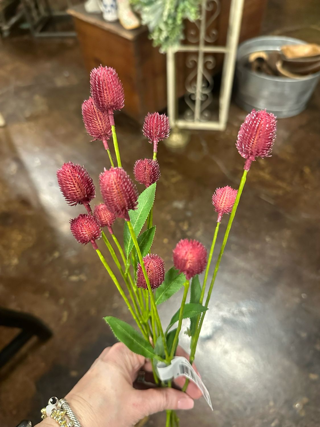PVH 26" Magenta Gomphrena