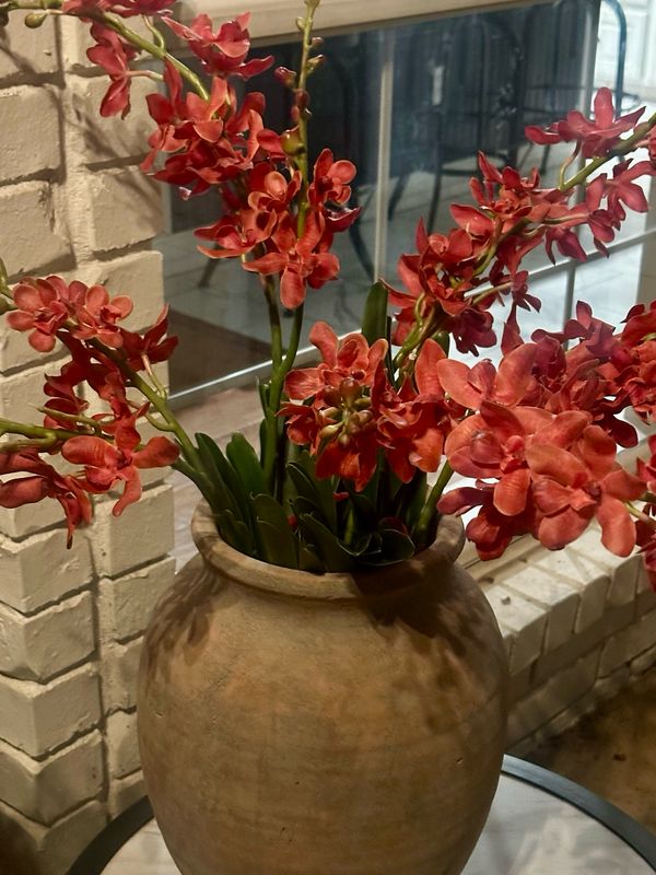 PVH 30" Salmon Vanda Orchid