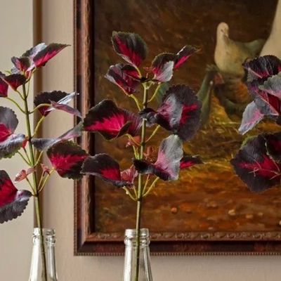 PVH 18.5" Pink Sunset Coleus