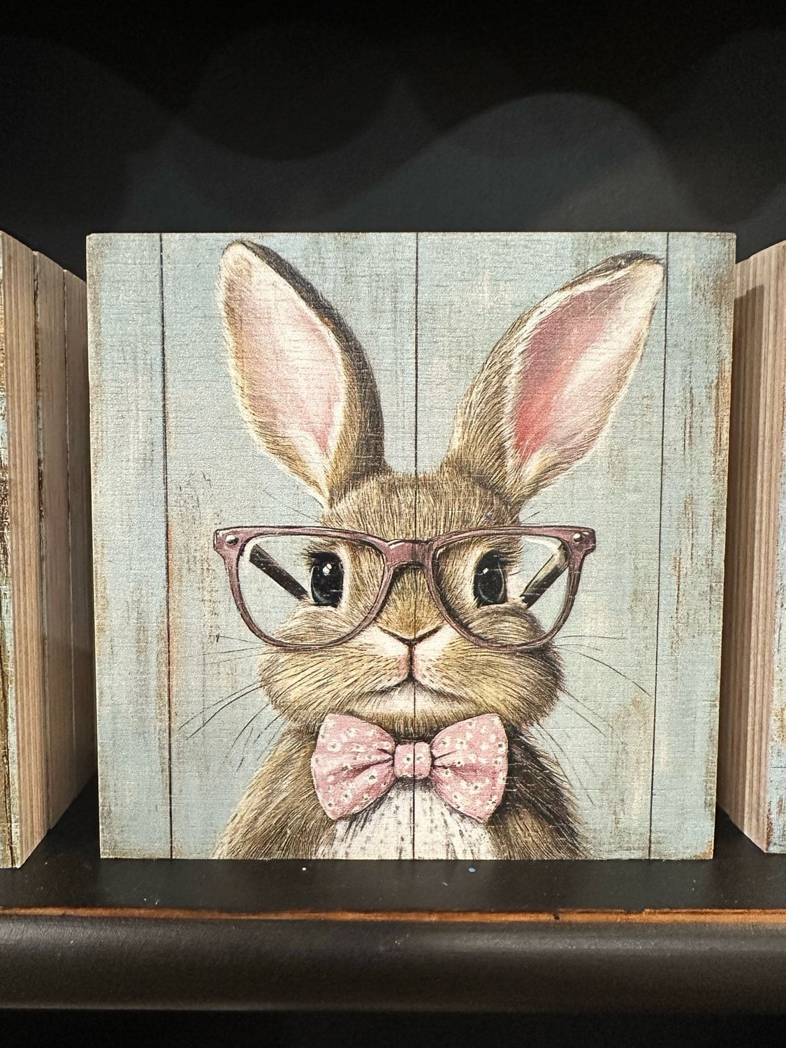 Col 5x5 Bunny Specs Pink Tie