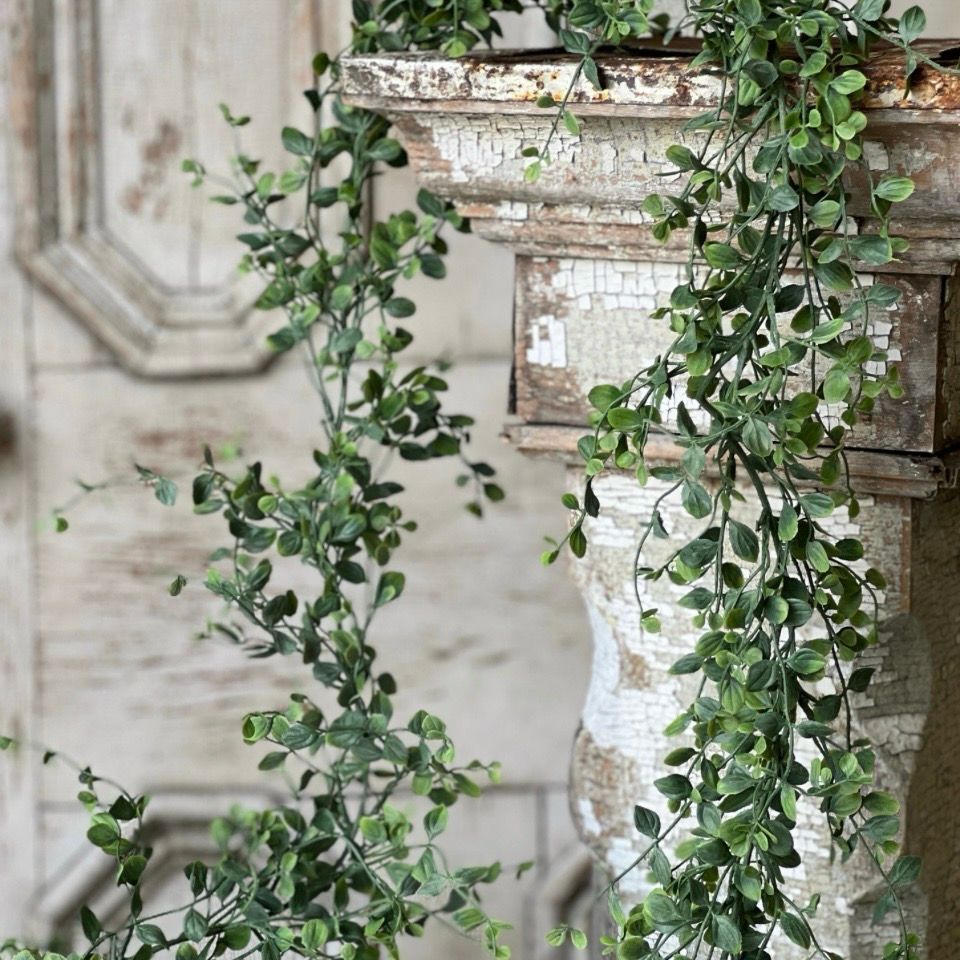 Lan 6' Seraph Vine Garland