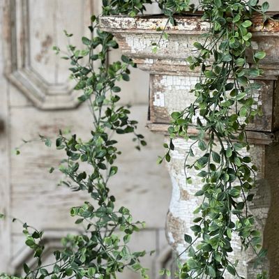 Lan 6' Seraph Vine Garland