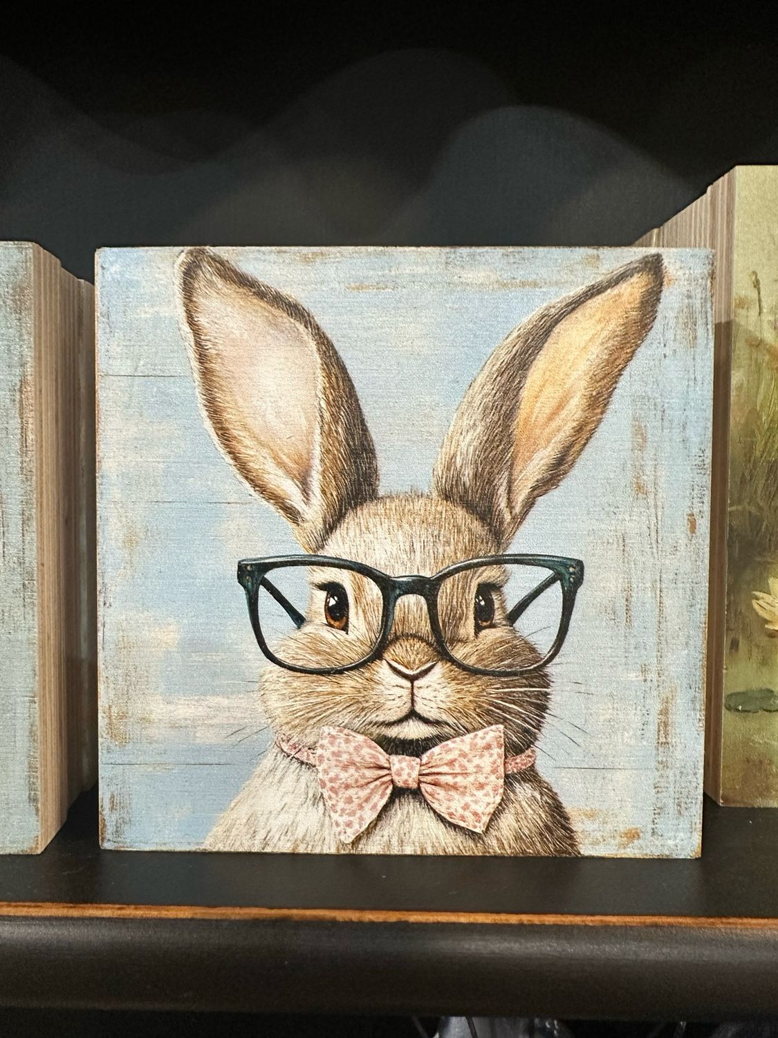 Col 5x5 Bunny Specs Blk Specs