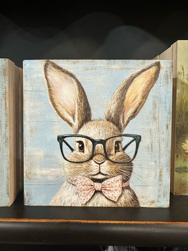 Col 5x5 Bunny Specs Blk Specs