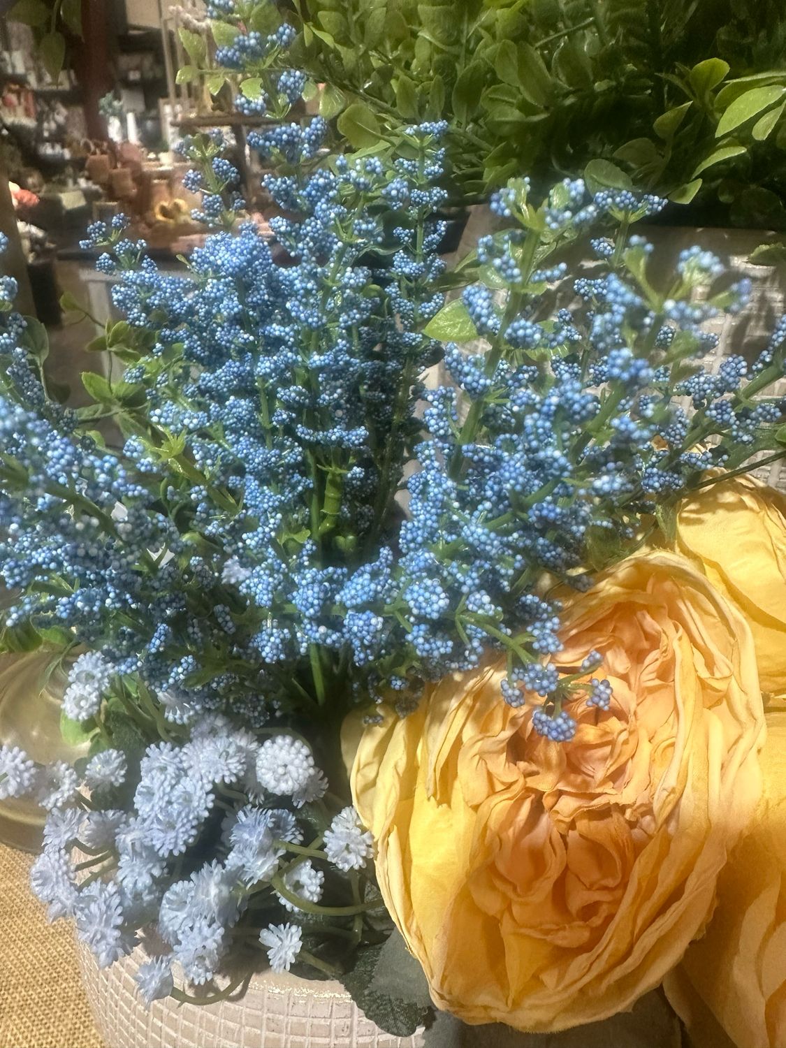 Lan 10.5 Bursting Blue Astilbe