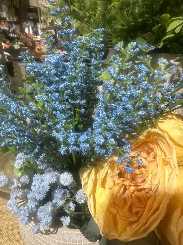 Lan 10.5 Bursting Blue Astilbe