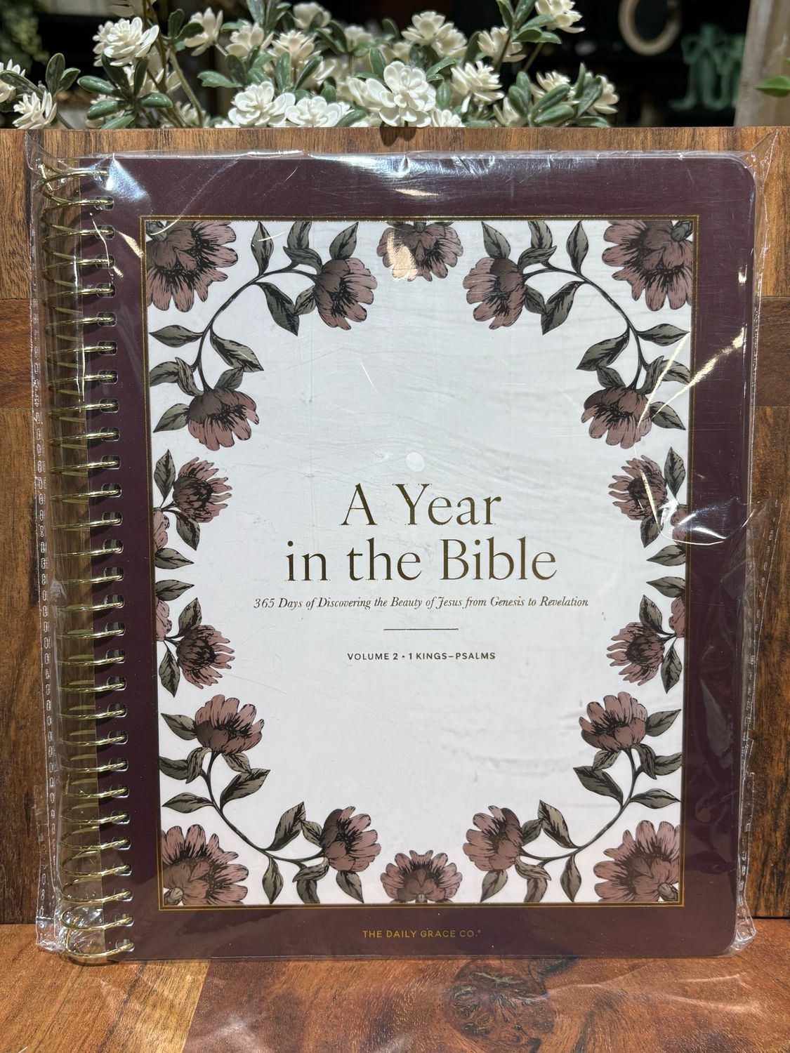 TDGC Vol 2 Year In The Bible Red