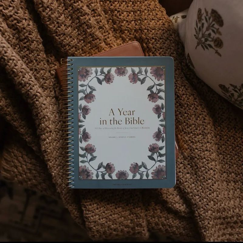 TDGC Year In The Bible Bl