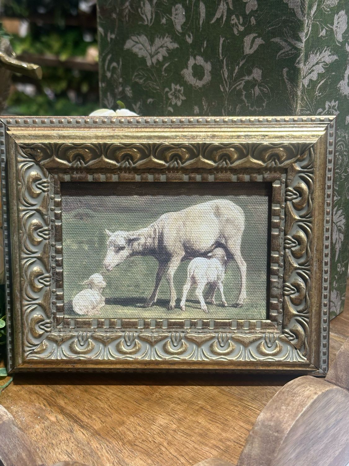 PLH 6x7 Ewe &amp; Two Lambs