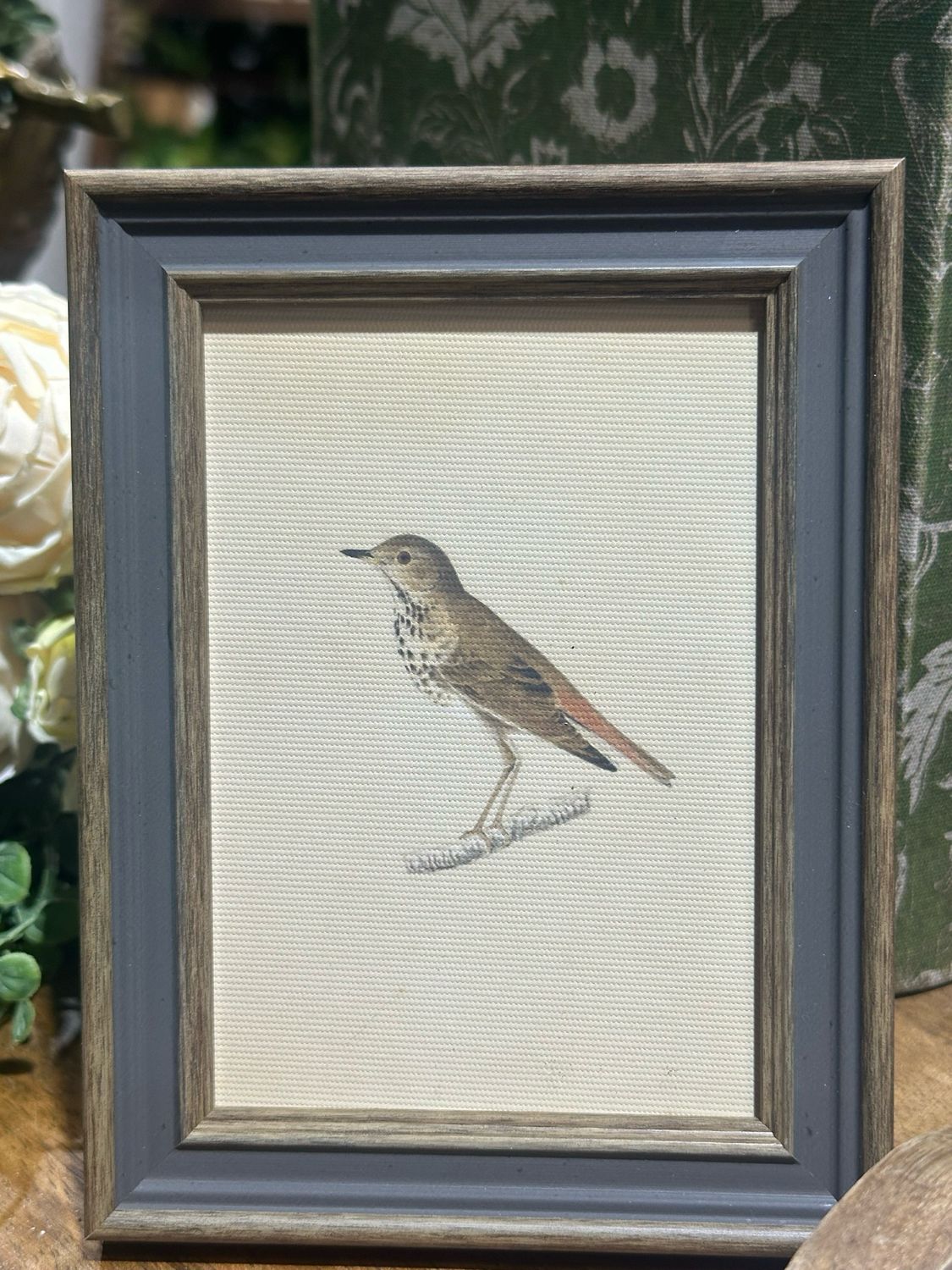 PLH 5x6 Bird Framed