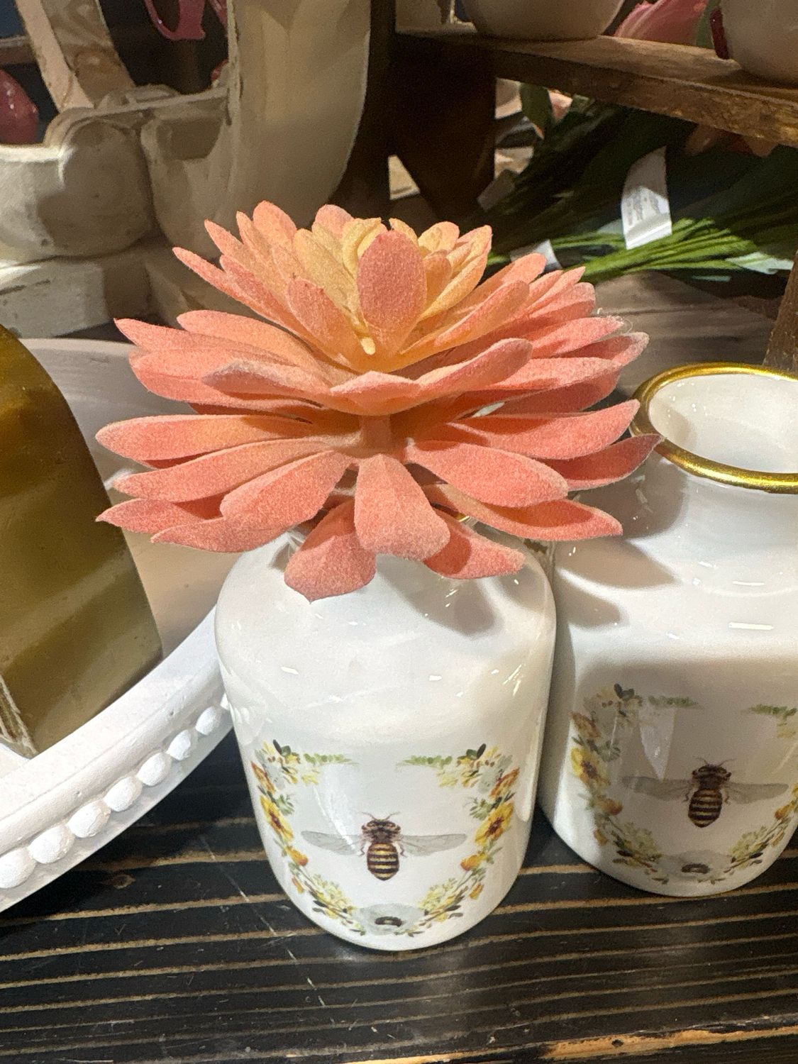 Dal Pink Echeveria Succ