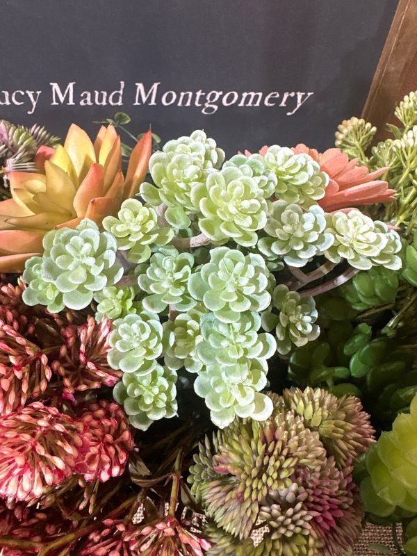 Dal Blooming Sedum