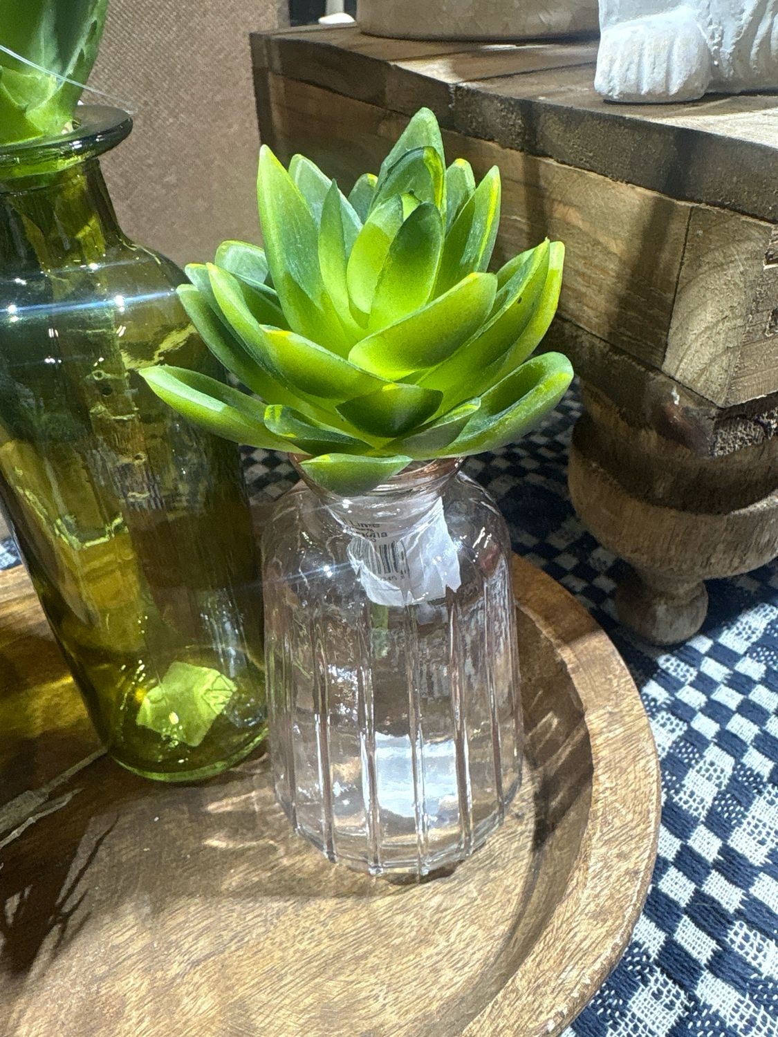 Dal Lime Green Echeveria