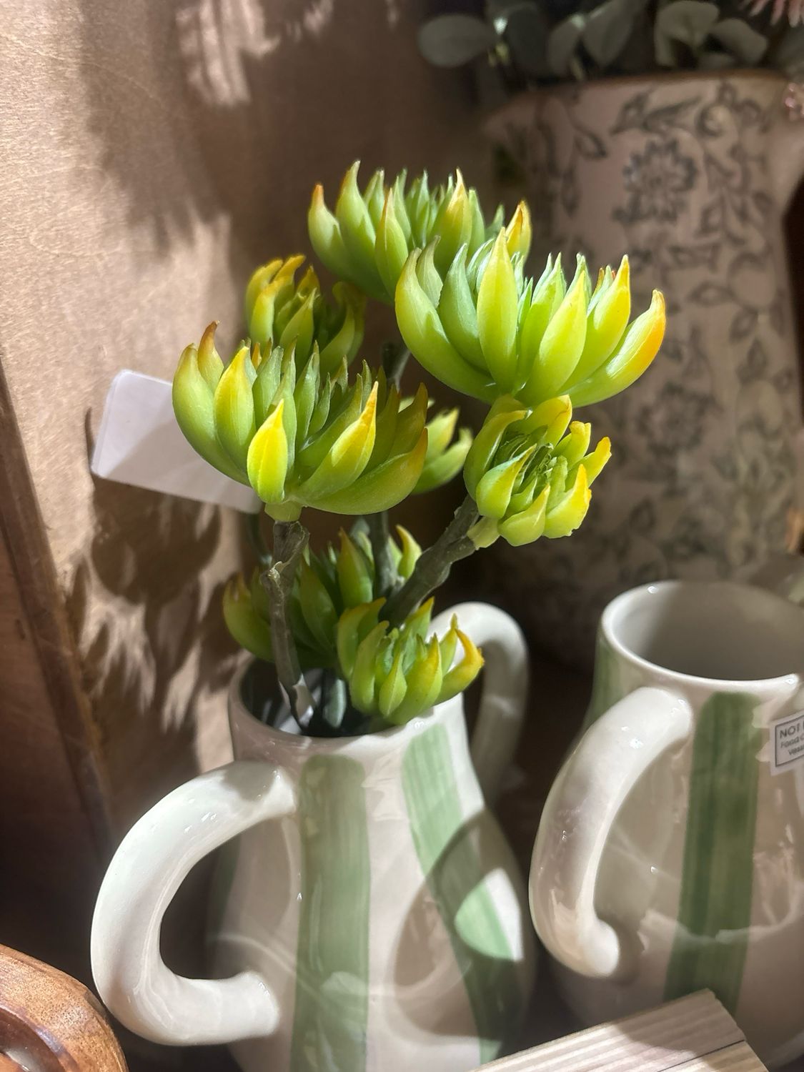 Dal Green Aloe Bunch