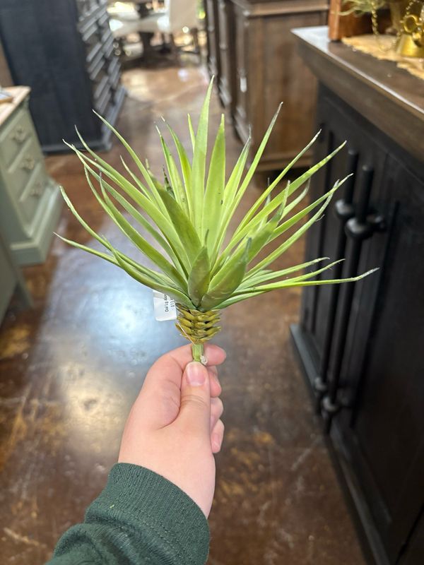 Dal Lg Aloe