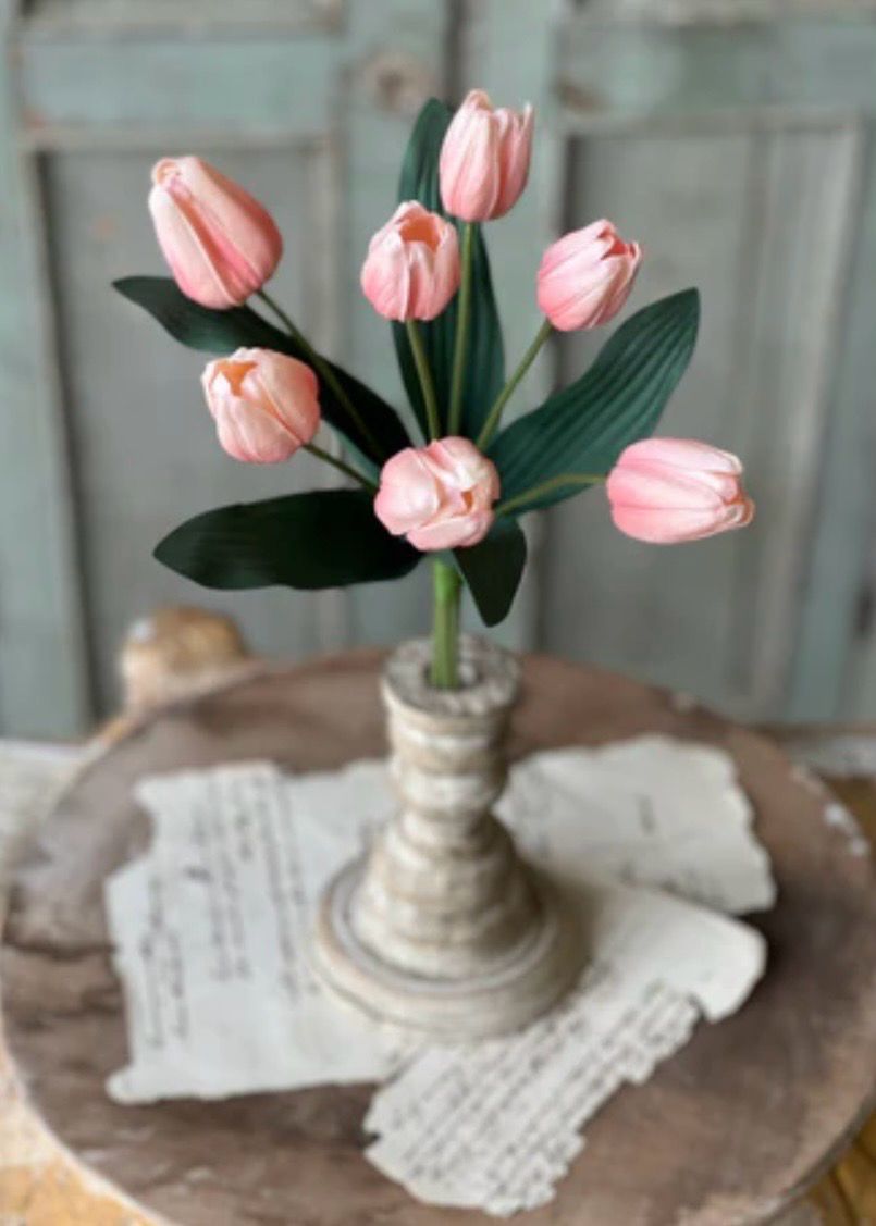 Lan Sorbet 14.5" Triumph Tulip Bundle