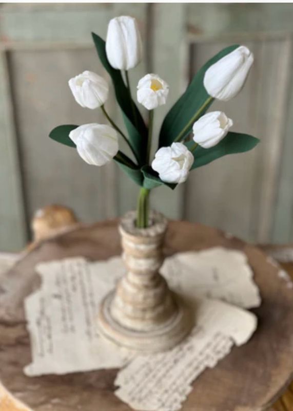 Lan White 14.5" Triumph Tulip Bundle