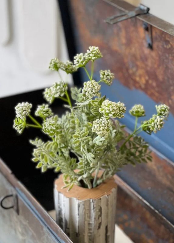 Lan Cream 14" Briley Buds