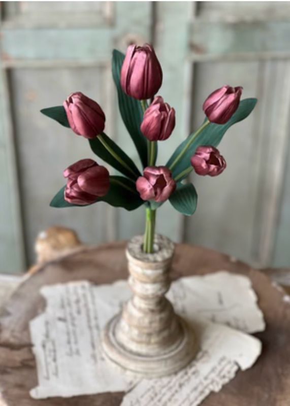 Lan Dusky 14.5" Triumph Tulip Bundle Wine