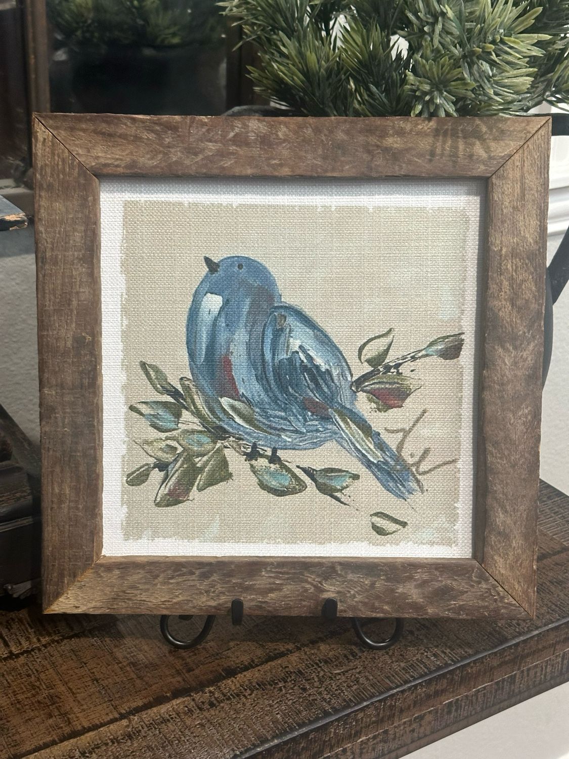 SCM 12x12 Fluffy Blue Bird