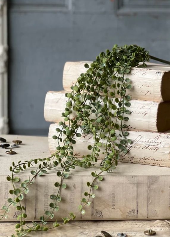 Lan 23" Boutonniere Vine Hanging