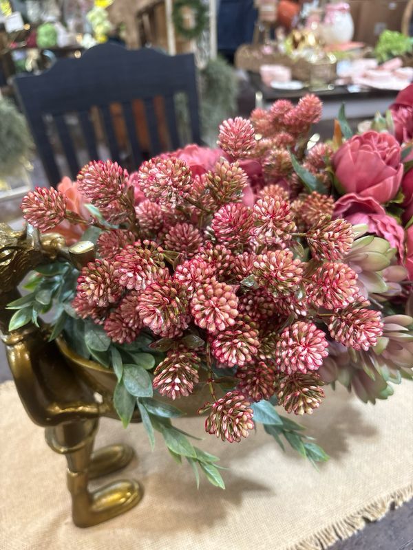 Lan Pink 12" Wil-O-Wisp Bush