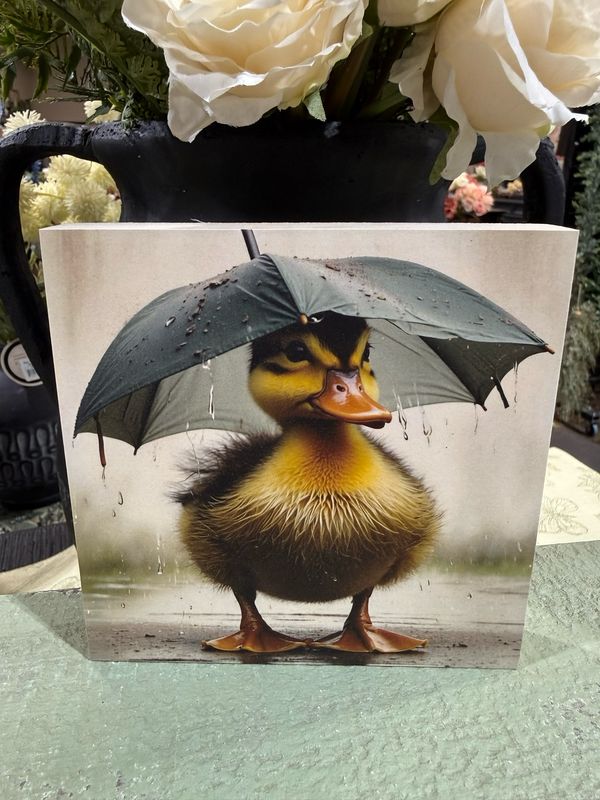 BBE 5x5 Umbrella Duckling