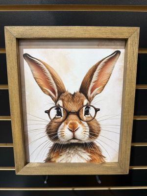 BBE Glasses Bunny 9x11