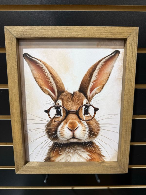BBE Glasses Bunny 9x11