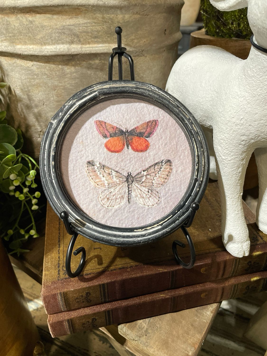 Lan 5" Orange &amp; White Butterflies