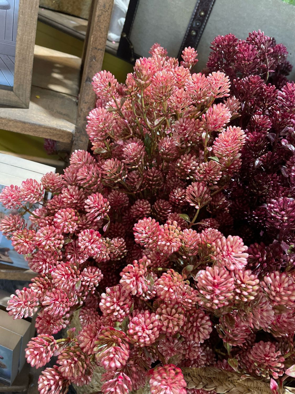 Lan Pink 25" Wil-O-Wisp Spray