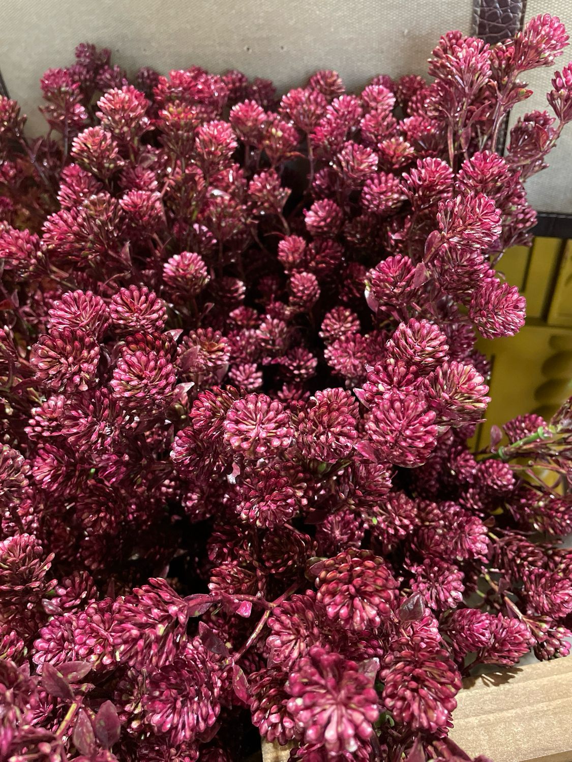 Lan Sangria 25" Wil-O-Wisp Spray