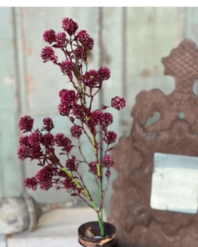 Lan Sangria 25" Wil-O-Wisp Spray