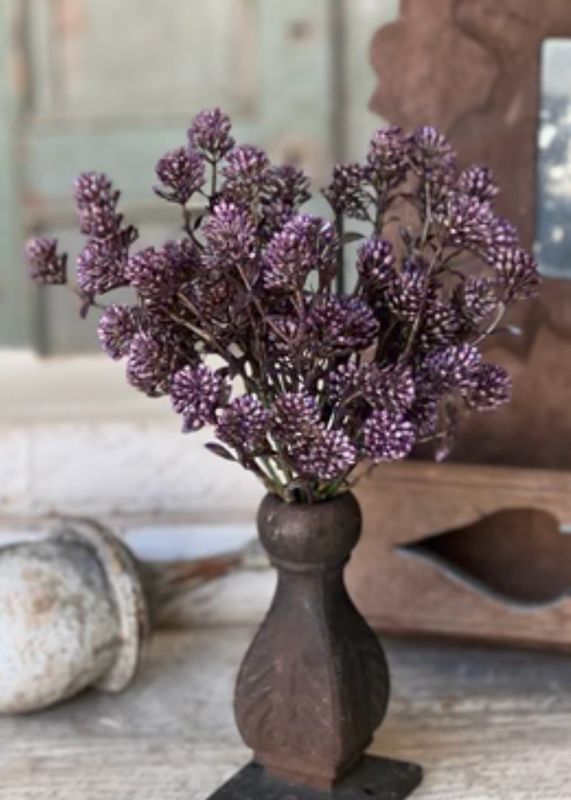 Lan Purple 12" Wil-O-Wisp Bush