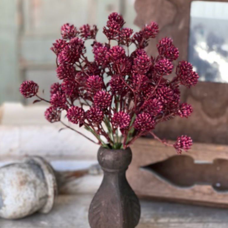 Lan Sangria 12" Wil-O-Wisp Bush