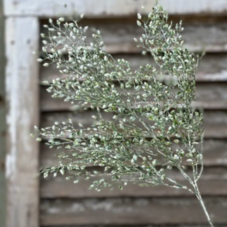 Lan Grn 29" Little Luna Leaves Spray