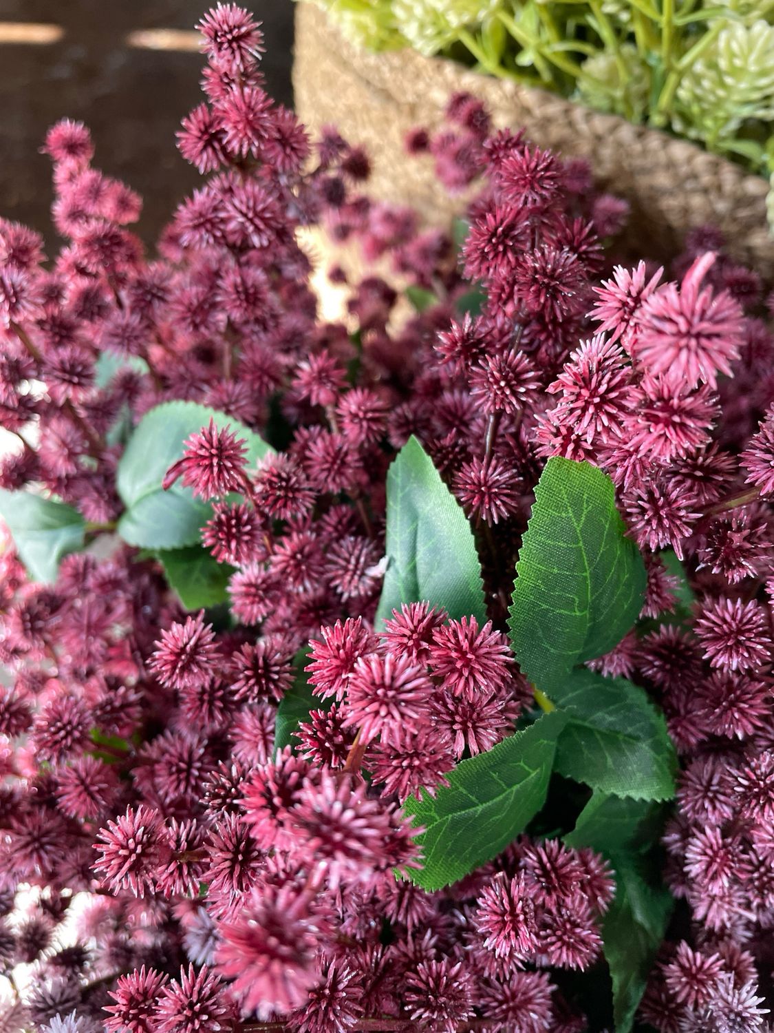 Lan 13" Sangria Wishlet Bud Bundle